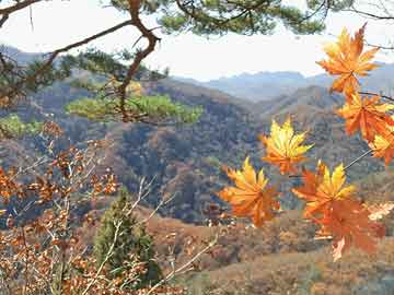 华泰保险全国排名第几，华泰保险全国排名第几位